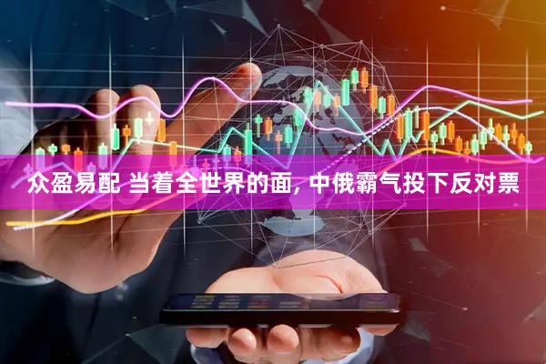 众盈易配 当着全世界的面, 中俄霸气投下反对票