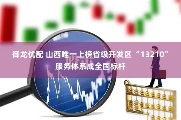 御龙优配 山西唯一上榜省级开发区 “13210”服务体系成全国标杆