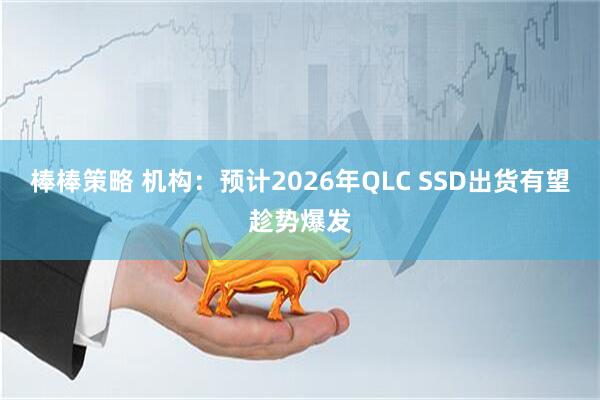 棒棒策略 机构：预计2026年QLC SSD出货有望趁势爆发