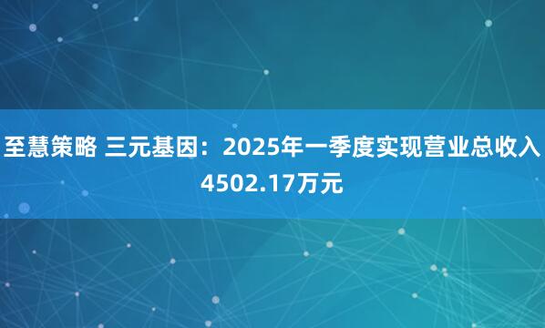 至慧策略 三元基因：2025年一季度实现营业总收入4502.17万元