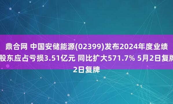 鼎合网 中国安储能源(02399)发布2024年度业绩 股东应占亏损3.51亿元 同比扩大571.7% 5月2日复牌