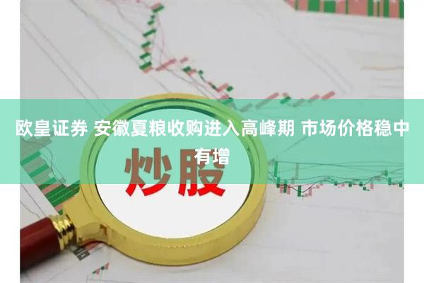欧皇证券 安徽夏粮收购进入高峰期 市场价格稳中有增